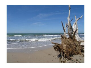 Prerow - Weststrand