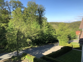 Blick aus der Küche