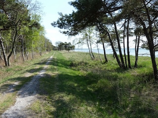 Appartamento per vacanze Glowe Ambiente 16