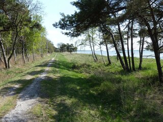 Appartement de vacances Glowe  15