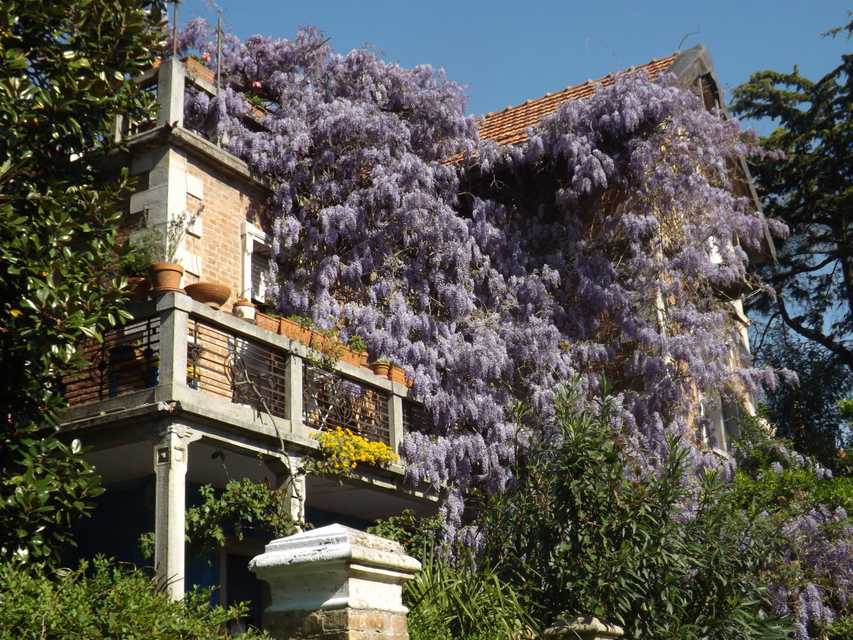 Holiday Apartment Villa Bellodi Venice Mrs Maria Angela Olivieri