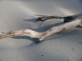 Ferienhaus Dierhagen Umgebung 13