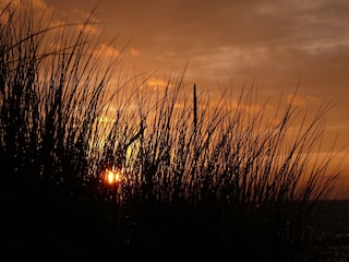 Ferienhaus Dierhagen Umgebung 16