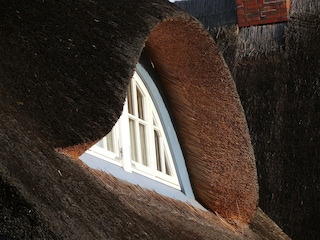 Ferienhaus Dierhagen Umgebung 17