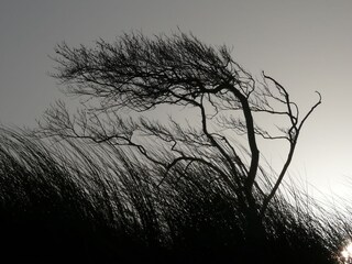 Ferienhaus Dierhagen Umgebung 18