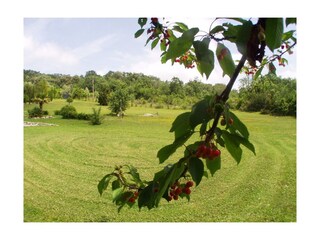Holiday house Monteverdi Marittimo Outdoor Recording 6