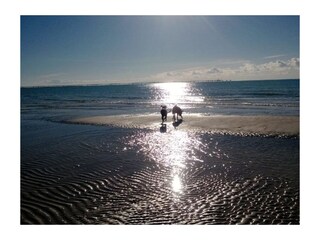 Holiday house Monteverdi Marittimo Environment 22