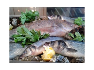 Vakantiehuis Monteverdi Marittimo Omgeving 23