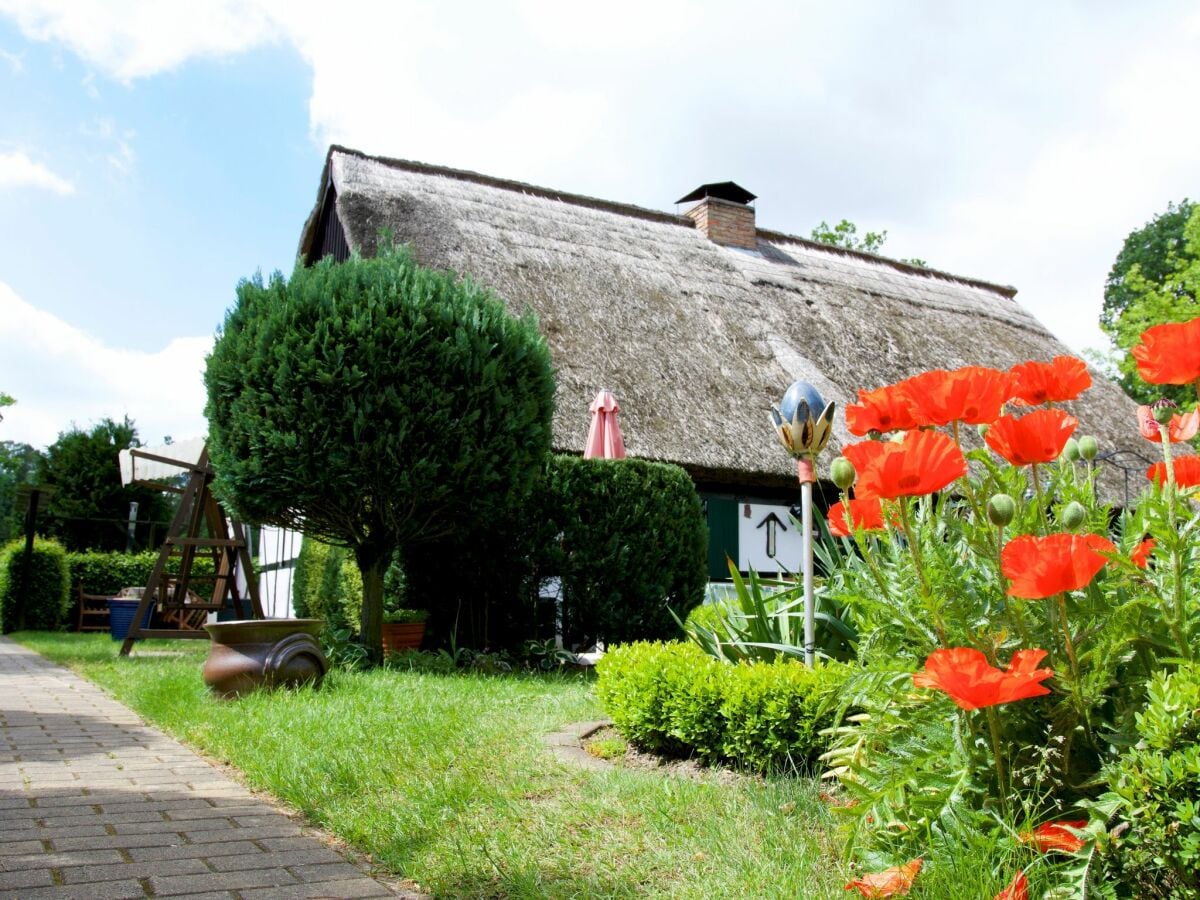 Ferienhaus Hintersee in Vorpommern Außenaufnahme 1