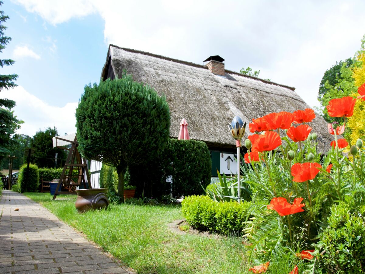 Ferienhaus Hintersee in Vorpommern Außenaufnahme 1