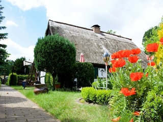 Ferienhaus Hintersee in Vorpommern Außenaufnahme 4