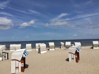 Maison de vacances Hintersee in Vorpommern Environnement 32