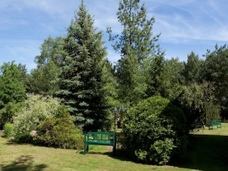 Ferienhaus Hintersee in Vorpommern Außenaufnahme 7