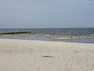 Ferienhaus Hintersee in Vorpommern Umgebung 34