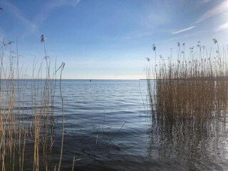 Casa per le vacanze Hintersee in Vorpommern Ambiente 37