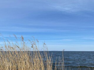 Vakantiehuis Hintersee in Vorpommern Omgeving 24