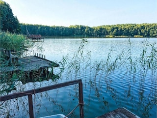 Ferienhaus Hintersee in Vorpommern Umgebung 39