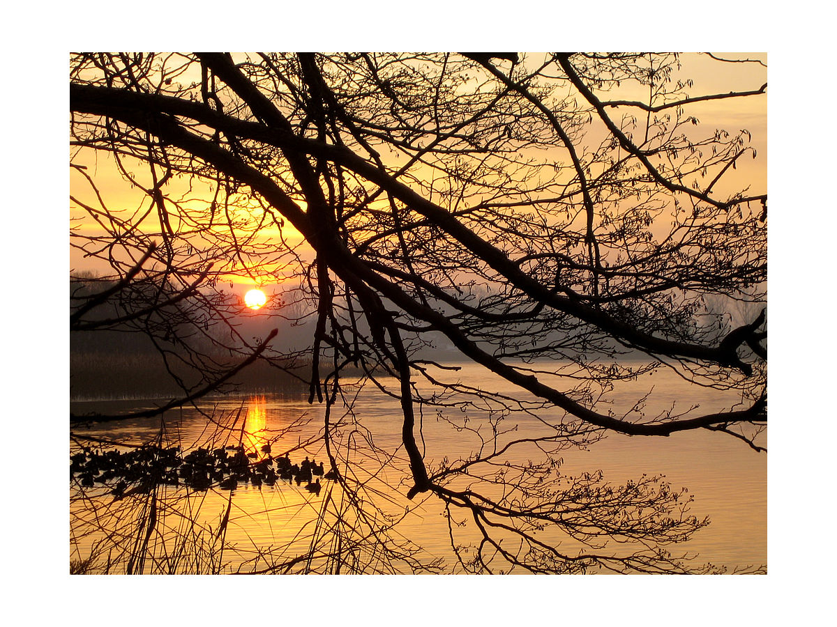 Abendstimmung am Schaalsee