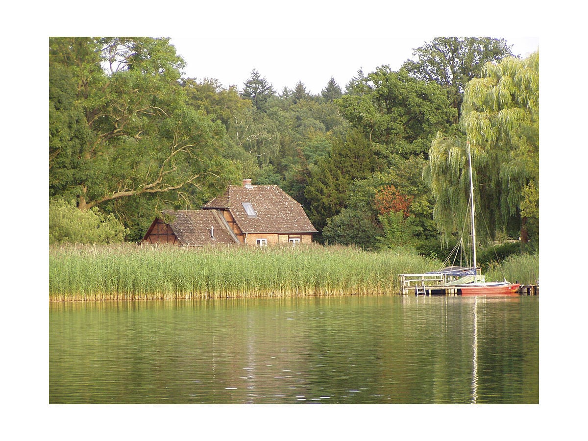 Blick vom See aufs Ferienhaus + Steg