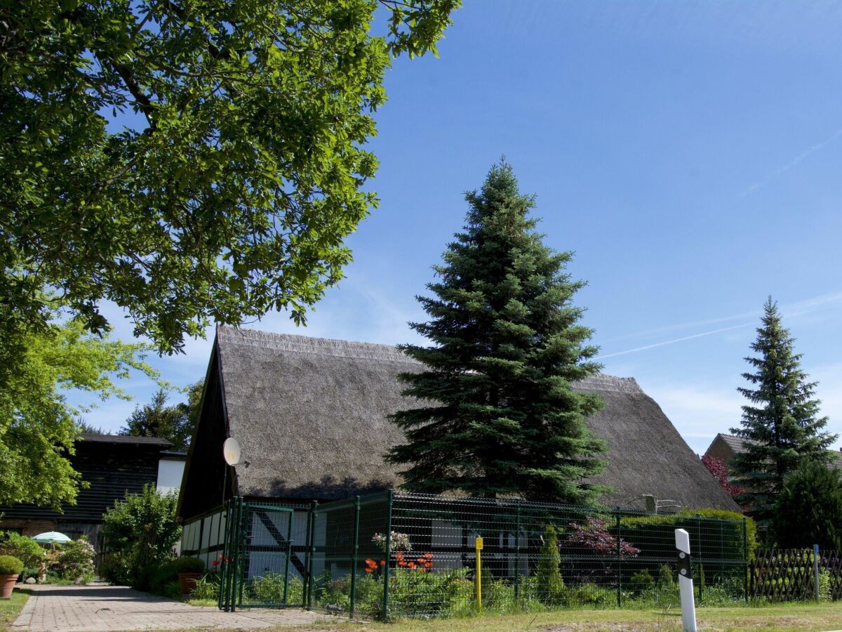 Ferienhaus Hintersee in Vorpommern Außenaufnahme 2