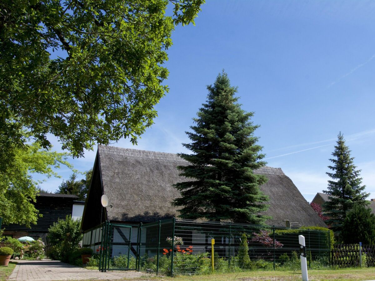 Ferienhaus Hintersee in Vorpommern Außenaufnahme 4