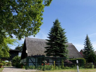 Ferienhaus Hintersee in Vorpommern Außenaufnahme 6