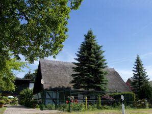 Ferienhaus in Gegensee bei Stettiner Lagune - Hintersee in Vorpommern - image1