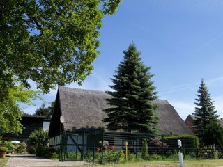 Ferienhaus Hintersee in Vorpommern Außenaufnahme 1