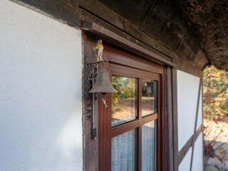 Ferienhaus Hintersee in Vorpommern  39