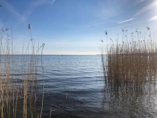 Vakantiehuis Hintersee in Vorpommern Omgeving 25
