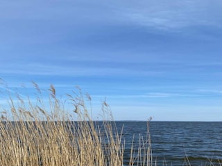 Ferienhaus Hintersee in Vorpommern Umgebung 17