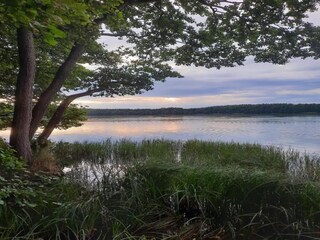 Casa per le vacanze Hintersee in Vorpommern Ambiente 25