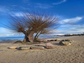 Ferienhaus Hintersee in Vorpommern Umgebung 36