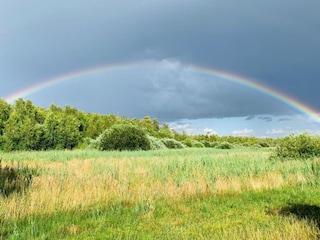 Vakantiehuis Hintersee in Vorpommern Omgeving 22