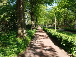 Fahrradwege in Bergen