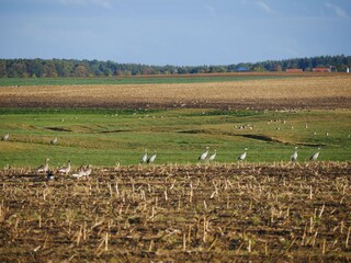 herbstliche Rast