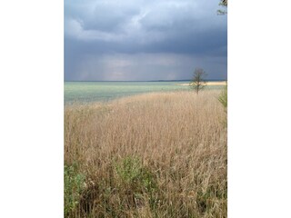 Müritz vor dem Gewitter