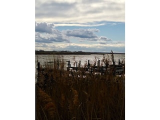 Boddenlandschaft