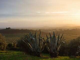Casa per le vacanze Roccastrada Registrazione all'aperto 14