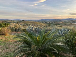 Casa per le vacanze Roccastrada Registrazione all'aperto 10
