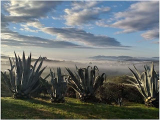 Morgenstimmung im Winter