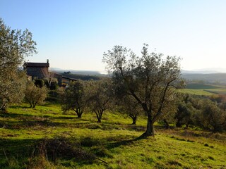 Casa per le vacanze Roccastrada Registrazione all'aperto 15