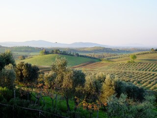 Casa per le vacanze Roccastrada Registrazione all'aperto 2