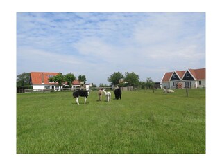 Casa per le vacanze De Koog Registrazione all'aperto 2