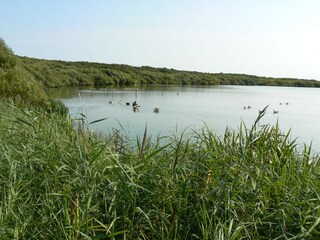 Zwanenwater