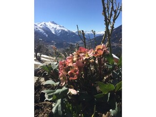 Appartamento per vacanze Bellwald Ambiente 13