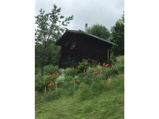 Vakantieappartement Bellwald Omgeving 11