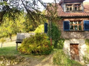 Ferienhaus Rhöner Landhaus mit Flair - Gersfeld - image1