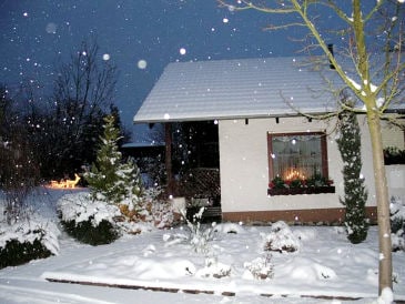 Oase (Nichtraucher-Ferienhaus)