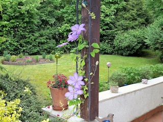 Vakantiehuis Bad Zwesten Buitenaudio-opname 6